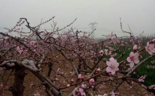 清河天气预报一周，清河天气预报一周天气？