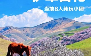 托克逊县天气预报，托克逊县天气预报一周7天？