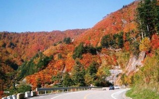 白山天气预报七天，白山天气预报七天查询有下大暴吗?也殳有下来大暴雨