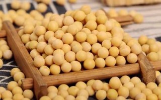 北票朝阳天气？辽宁朝阳北票天气预报15天查询？