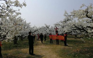 魏县16号限什么号？魏县最新限号？