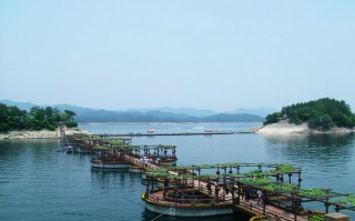 千岛湖天气30天，千岛湖天气30天预报查询？