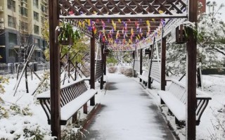 南京天气预报下雪，南京天气预报下雪准吗？