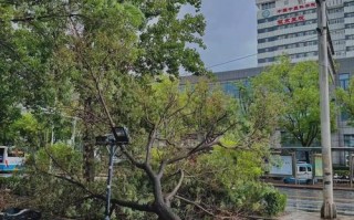 包含北京海淀区天气预报的词条