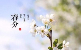 淄川天气预报15天，淄川天气预报15天30天查询？