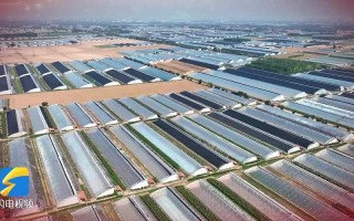 广饶15天天气预报，广饶天气预报?
