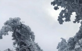 荆门天气预报30天？荆门天气预报30天准确一览表？