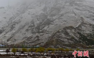 林芝全年天气预报，林芝全年天气预报查询？