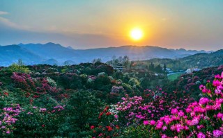贵州的天气预报7天？贵州的天气预报7天穿什么衣服？