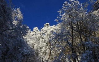 贵池天气预报15天，贵池天气预报15天查询当地？