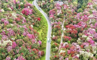 盘州市天气预报一周？六盘水市盘州市天气预报一周？
