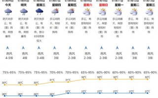 深圳过往天气查询，深圳往期天气情况