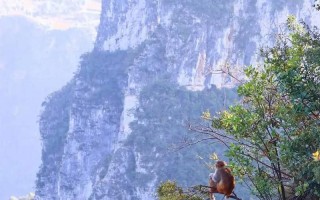云阳天气预报15天，云阳天气预报15天精准