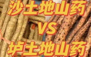 商丘市虞城县天气？商丘市虞城县天气予报？