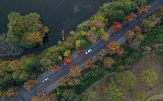 外地人进西湖限号不？外地车进西湖？