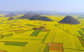 云南罗平天气预报，云南罗平天气预报15天？