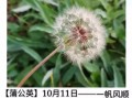预报天气的十种植物，预报天气的十种植物名称？