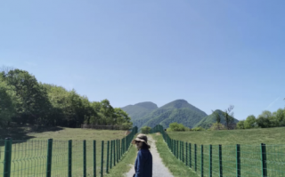 神农架天气穿衣建议，神农架夏季天气