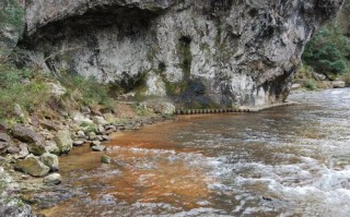 福建白水洋天气预报，福建白水洋天气预报15天查询