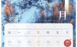 春节期间天气预报，春节期间天气预报2024,武汉