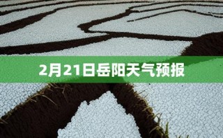 濮阳明天天气预报？濮阳天气30天？