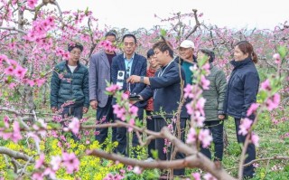 万荣天气预报一周，万荣天气预报一周 7天
