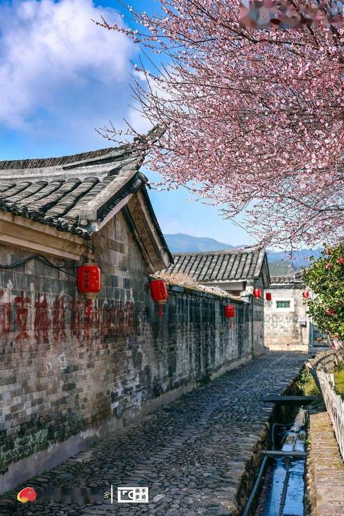 龙岩天气预报一周,龙岩天气预报一周 10天查询-第1张图片-巾百福 龙岩天气预报一周,龙岩天气预报一周 10天查询-第1张图片-巾百福