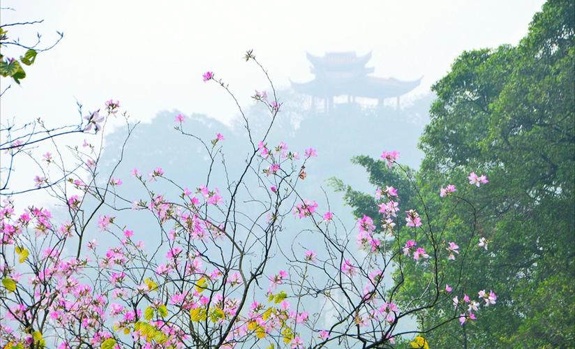 肇东天气预报一周?肇东天气预报一周7天准确?-第2张图片-巾百福 肇东天气预报一周?肇东天气预报一周7天准确?-第2张图片-巾百福