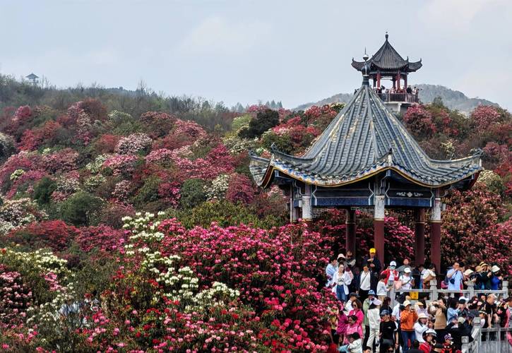 绥化天气预报30天,绥化天气预报30天准确一个月?-第5张图片-巾百福 绥化天气预报30天,绥化天气预报30天准确一个月?-第5张图片-巾百福