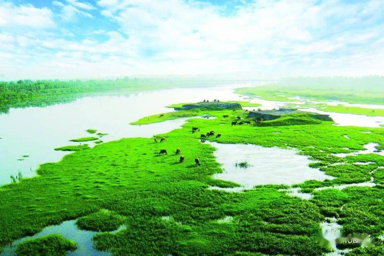 荆州洪湖市天气预报,湖北荆州洪湖市天气预报?-第5张图片-巾百福 荆州洪湖市天气预报,湖北荆州洪湖市天气预报?-第5张图片-巾百福