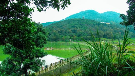 大冶天气预报30天?大冶天气预报30天米胖?-第5张图片-巾百福 大冶天气预报30天?大冶天气预报30天米胖?-第5张图片-巾百福