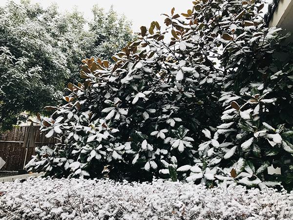 红原天气预报7天?红原天气预报7天一周查询结果?-第4张图片-巾百福 红原天气预报7天?红原天气预报7天一周查询结果?-第4张图片-巾百福