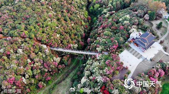 钦州天气预报15天?钦州天气预报15天查询免费?-第1张图片-巾百福 钦州天气预报15天?钦州天气预报15天查询免费?-第1张图片-巾百福
