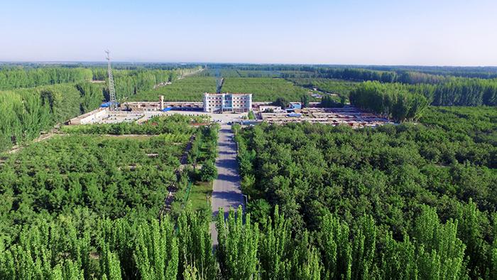 阿克苏市天气预报?新疆阿克苏市天气预报?-第3张图片-巾百福 阿克苏市天气预报?新疆阿克苏市天气预报?-第3张图片-巾百福