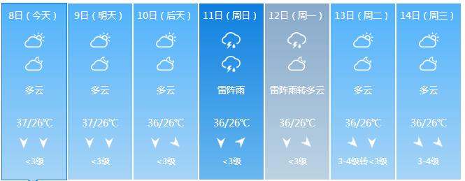 赣州天气过去一周,丹参和红枣能疏通血管吗?-第2张图片-巾百福 赣州天气过去一周,丹参和红枣能疏通血管吗?-第2张图片-巾百福