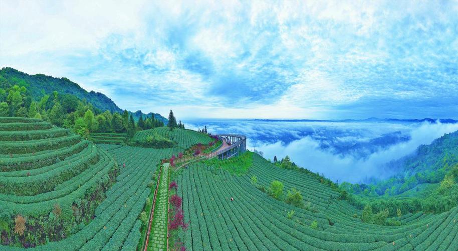 雅安天气预报15天,雅安天气预报15天下载-第3张图片-巾百福 雅安天气预报15天,雅安天气预报15天下载-第3张图片-巾百福