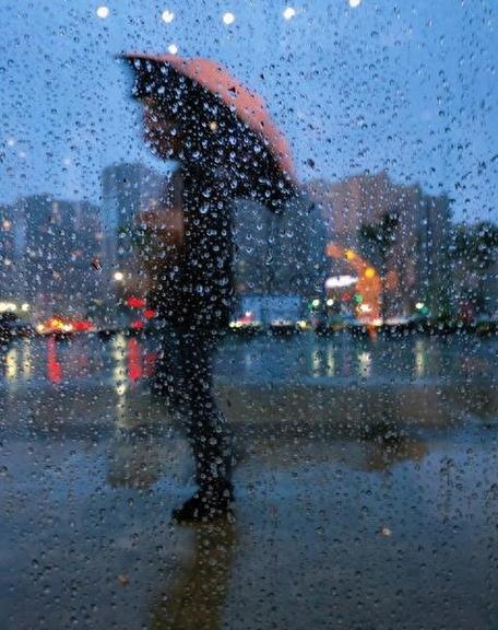 上海徐汇天气预报,上海徐汇天气预报7天查询当地疫情情况?-第1张图片-巾百福 上海徐汇天气预报,上海徐汇天气预报7天查询当地疫情情况?-第1张图片-巾百福