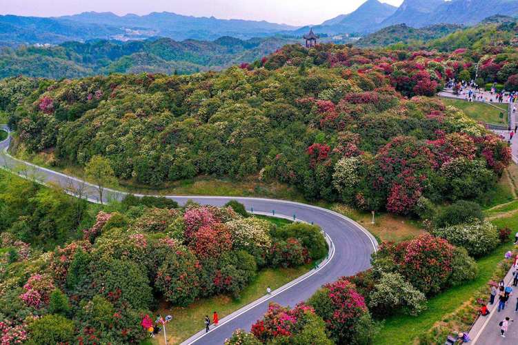 一周天气预报七天?太原一周天气预报七天?-第4张图片-巾百福 一周天气预报七天?太原一周天气预报七天?-第4张图片-巾百福