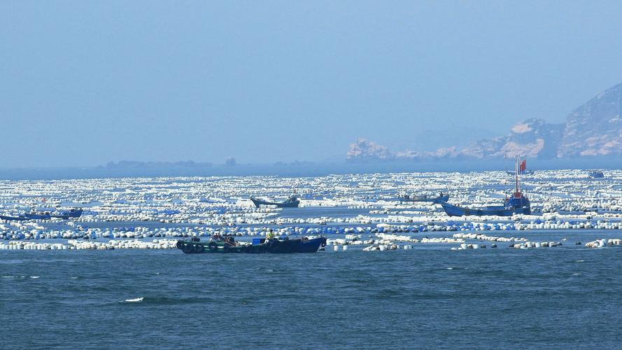 舟山定海天气预报?舟山定海天气预报一周查询?-第3张图片-巾百福 舟山定海天气预报?舟山定海天气预报一周查询?-第3张图片-巾百福