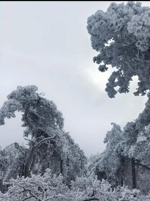 荆门天气预报30天?荆门天气预报30天准确一览表?-第1张图片-巾百福 荆门天气预报30天?荆门天气预报30天准确一览表?-第1张图片-巾百福