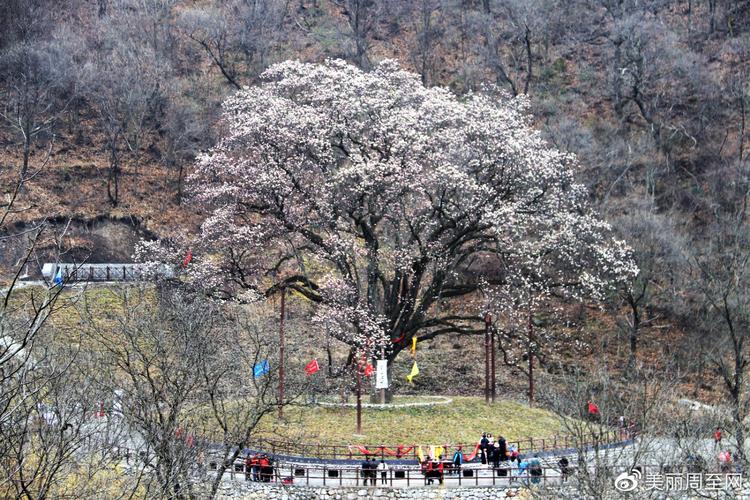 临西天气预报15天,临西天气预报15天查询结果?-第1张图片-巾百福 临西天气预报15天,临西天气预报15天查询结果?-第1张图片-巾百福
