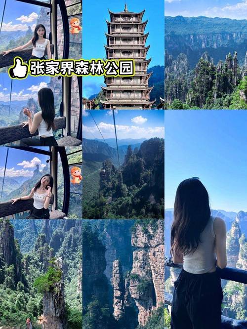高密天气预报30天?高密天气预报30天天气预报查询?-第6张图片-巾百福 高密天气预报30天?高密天气预报30天天气预报查询?-第6张图片-巾百福