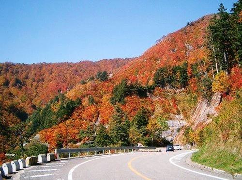 白山天气预报七天,白山天气预报七天查询有下大暴吗?也殳有下来大暴雨-第1张图片-巾百福 白山天气预报七天,白山天气预报七天查询有下大暴吗?也殳有下来大暴雨-第1张图片-巾百福