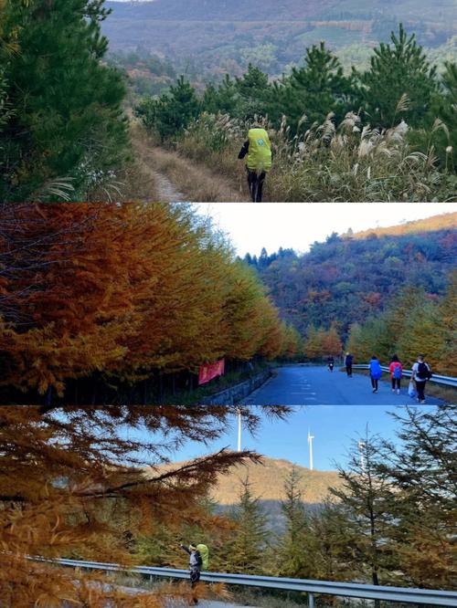 白山天气预报七天,白山天气预报七天查询有下大暴吗?也殳有下来大暴雨-第6张图片-巾百福 白山天气预报七天,白山天气预报七天查询有下大暴吗?也殳有下来大暴雨-第6张图片-巾百福