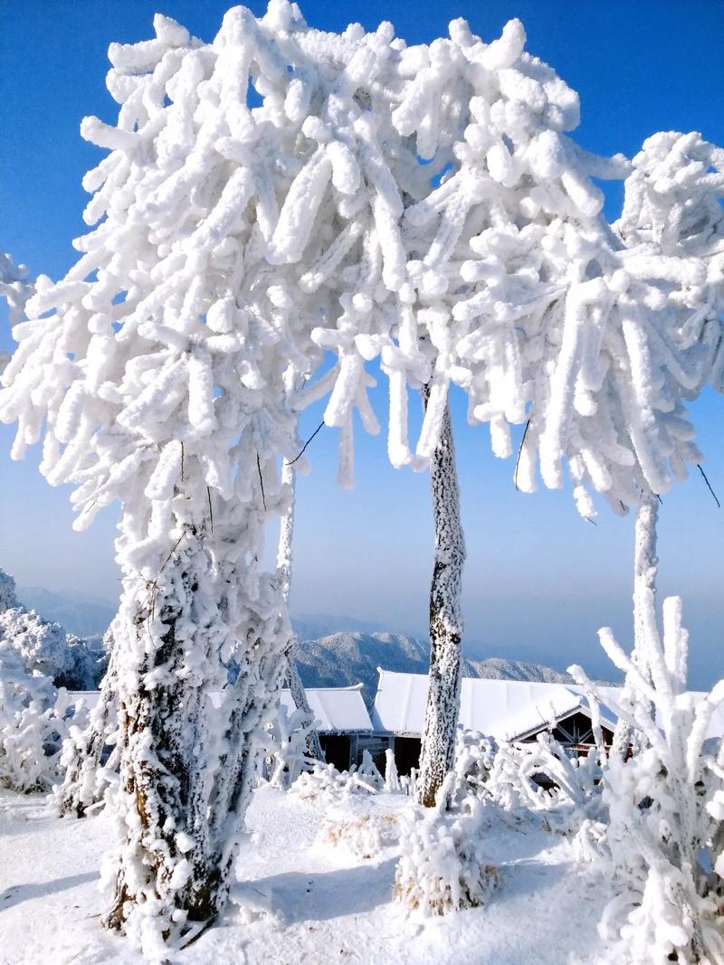 衡山天气预报30天?衡山天气预报30天准确一览表?-第1张图片-巾百福 衡山天气预报30天?衡山天气预报30天准确一览表?-第1张图片-巾百福