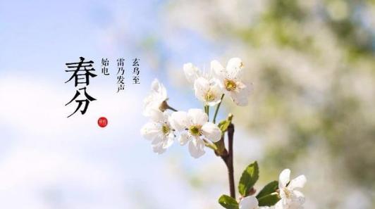 淄川天气预报15天,淄川天气预报15天30天查询?-第1张图片-巾百福 淄川天气预报15天,淄川天气预报15天30天查询?-第1张图片-巾百福