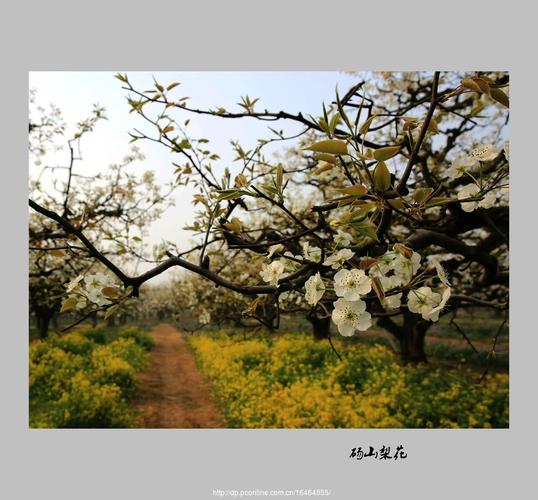 砀山天气预报40天?砀山天气预报40天准?-第1张图片-巾百福 砀山天气预报40天?砀山天气预报40天准?-第1张图片-巾百福