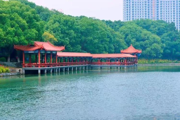 枝江天气预报一周,枝江天气预报一周 7天?-第5张图片-巾百福 枝江天气预报一周,枝江天气预报一周 7天?-第5张图片-巾百福