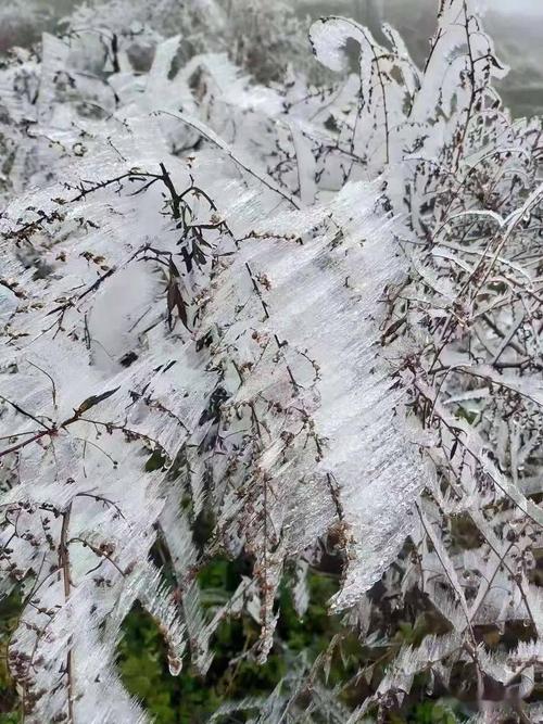 云南罗平天气预报,云南罗平天气预报15天?-第5张图片-巾百福 云南罗平天气预报,云南罗平天气预报15天?-第5张图片-巾百福