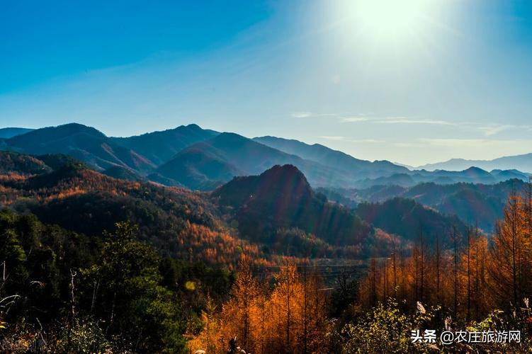 礼县每小时天气预报,礼县天气预报一周天气-第1张图片-巾百福 礼县每小时天气预报,礼县天气预报一周天气-第1张图片-巾百福